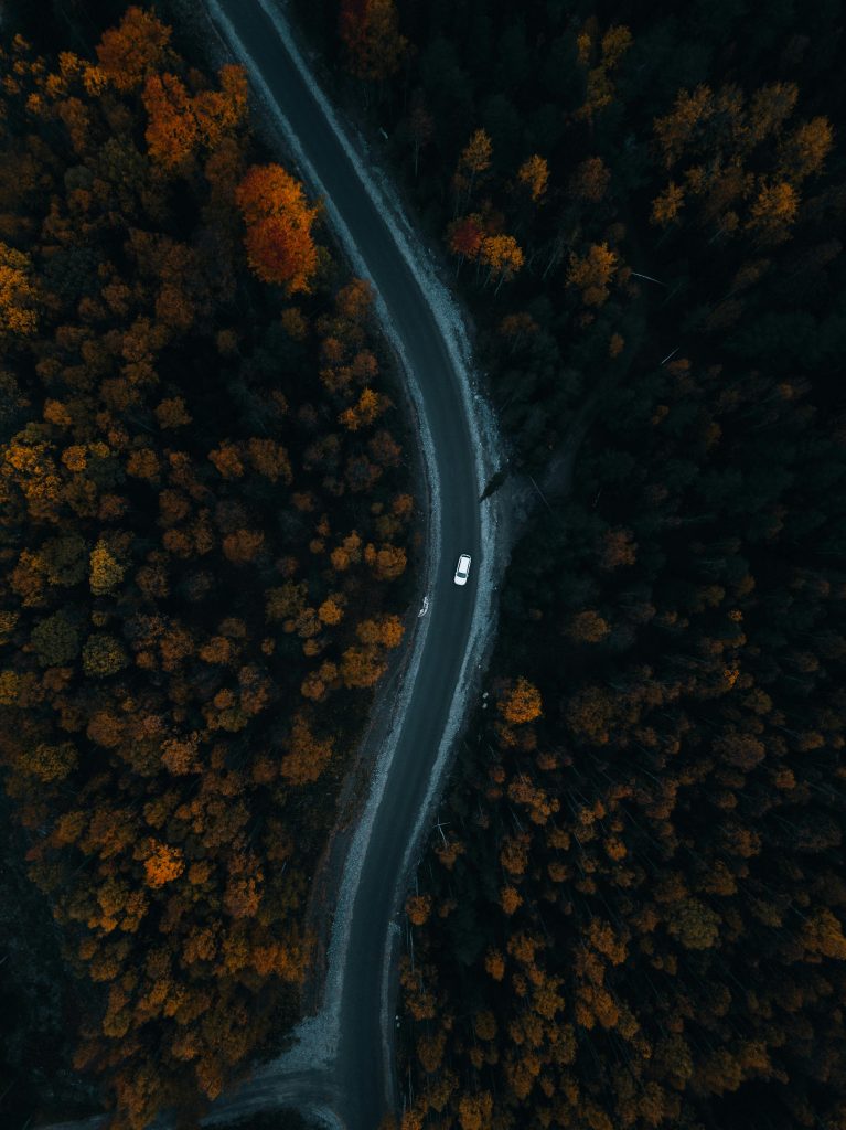 Pexels stijn dijkstra 1306815